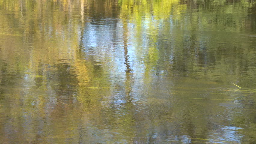 reflection of foliage colors on the water surface in the river. Autumn season. Sunny day.