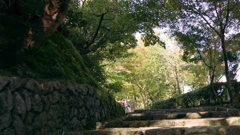 Young happy couple walking down stone steps in a shaded forest in Kyoto, Japan with soft day lighting. Wide shot on 4k RED camera.