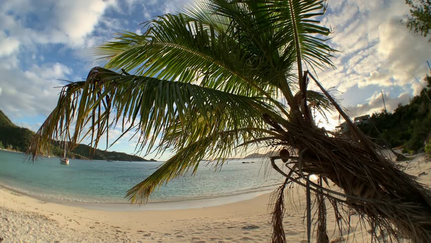 Tropical Paradise, St. John, USVI Royalty-Free Stock Footage #1022173723