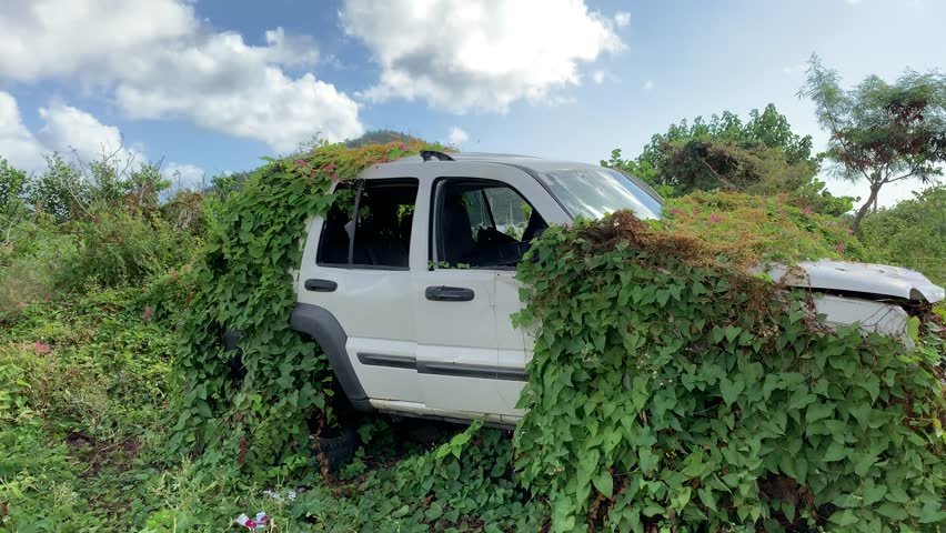 Abandoned Car Overgrown with Tropical Plants, St. John, USVI Royalty-Free Stock Footage #1022178271
