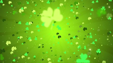 Shamrock. St. Patrick's Day green leaves background. Patrick Day backdrop with growing shamrock leaf extreme close-up. Patrick Day pub party.
