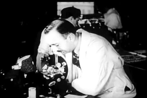 CIRCA 1937 - In diagnosing syphilis, bacteria is collected from a legion on a human penis and studied under microscope.