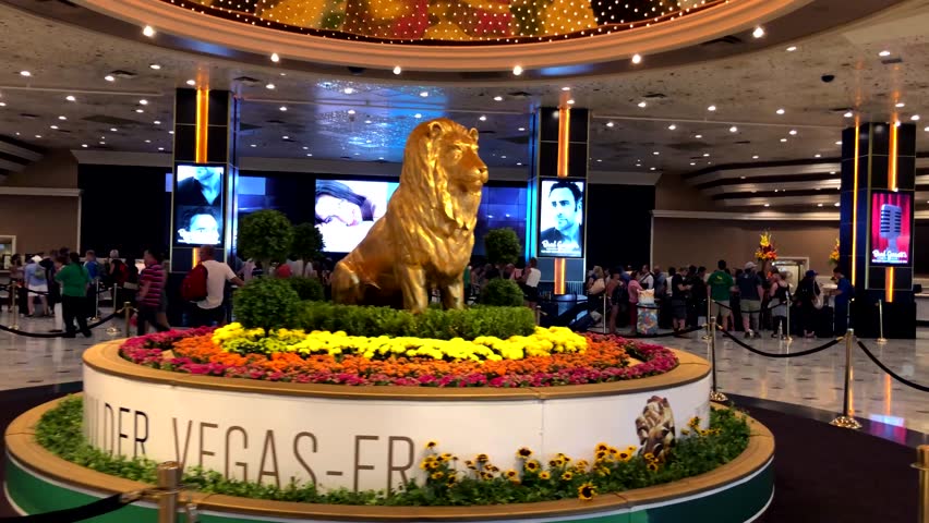 Mgm Lion Stock Video Footage - 4K and HD Video Clips | Shutterstock