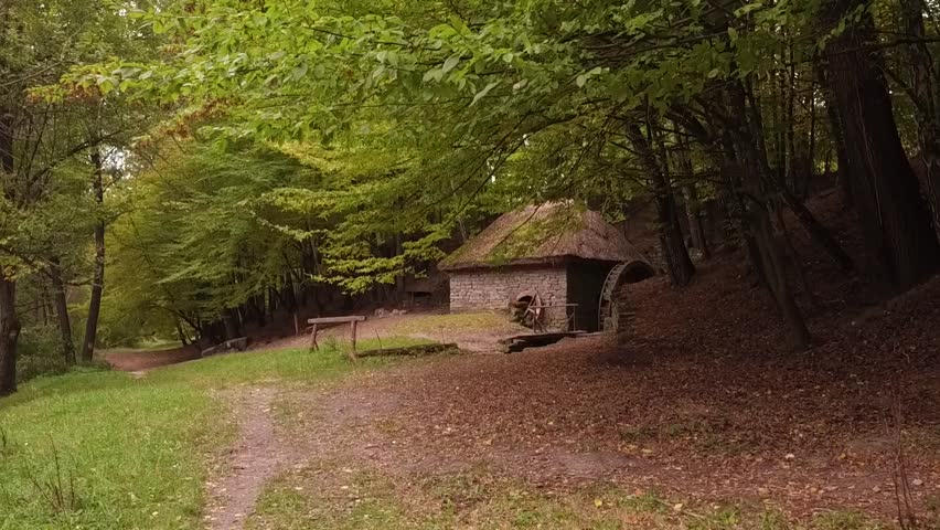 Forest. Old, mossy, water mill. A stone wall, covered with moss, trees, fallen leaves on the ground. The mechanism of the water mill. Dynamic panorama.
