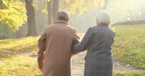 Back view on the Caucasian old couple walking together in the beautiful park in autumn and holding each other at hand. Rear. Outdoor.
