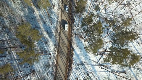 Road through Winter Forest