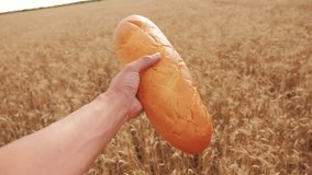 man holds a loaf in a wheat field lifestyle. slow motion video. successful agriculturist in field of wheat. harvest time. bread baking vintage agriculture concepts