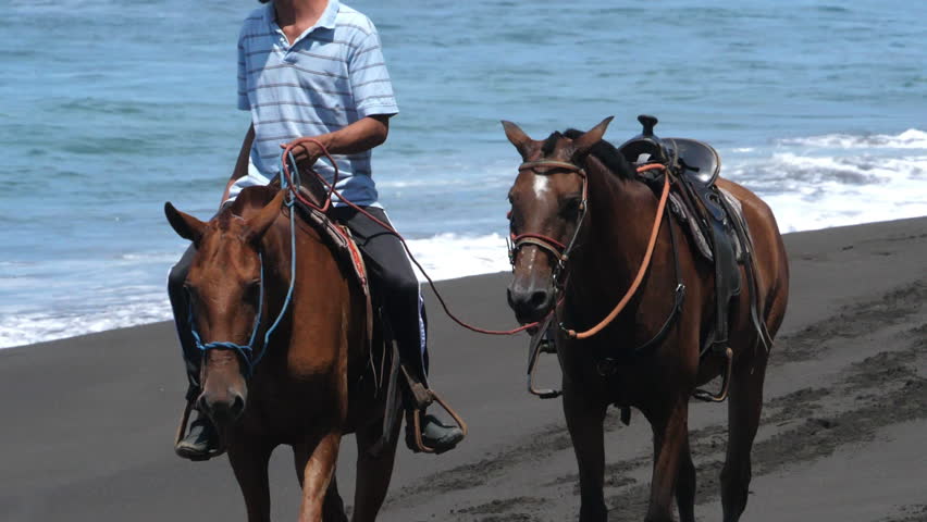 man riding horse on seashore slow Stock Footage Video (100% Royalty-free) 1...