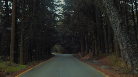 Driving on forest on first snowing day of the year slow motion.Pov shot of light snow falling for the first time while entering a natural forest park with tall trees