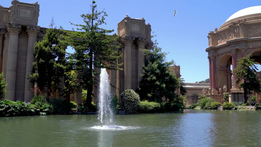 wild lifestyle seagulls sea birds flying resting on the building in palace of fine arts san francisco under sunshine. fountain in pond near by old historic architecture with blue sky in summer.