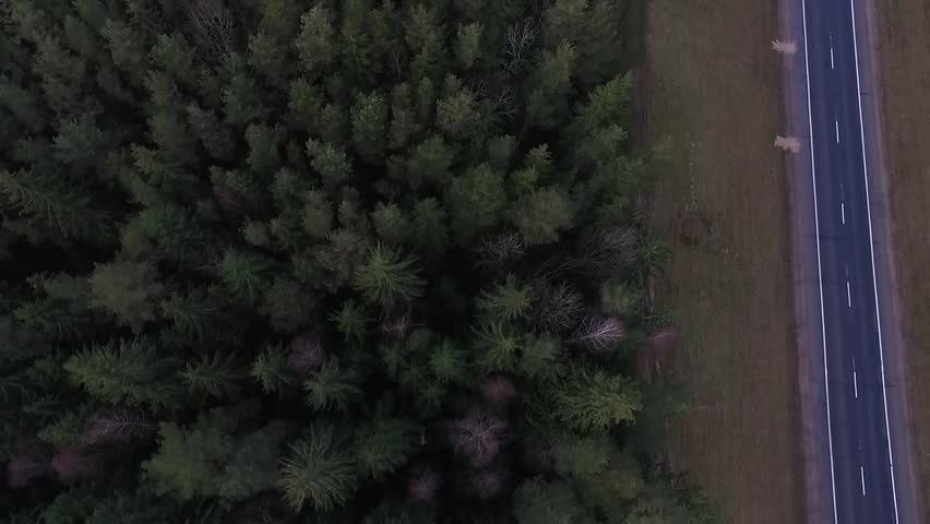 Aerial view of almost empty road it the forest. 2 lanes road.