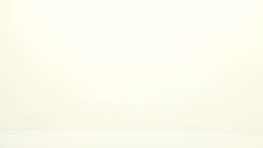 Corella parrot moves on white screen