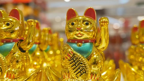 Japanese Lucky Cat sitting on the store shelf.