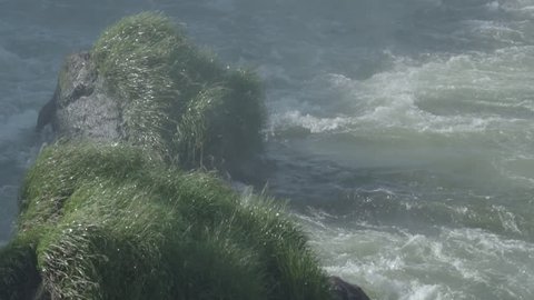 Water Flow with Rocks and Grass in Slow Motion