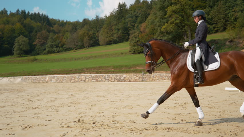 SUPER SLOW MOTION: Young English rider trotting on horseback around the manege on a sunny day in the countryside. Girl training with her beautiful brown stallion for their first dressage competition.