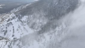 Fast moving fog over the forest on mountain top 4K drone video