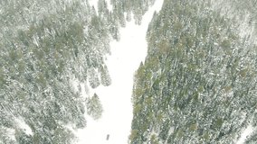 Aerial view of black car driving through the snowy forest on country road in winter. Winter landscape and transportation concept. Snow pine forest. Beautiful 4K video of car driving aerial.