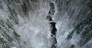 Aerial drone video. Flying downstream, river and snowy forest.	