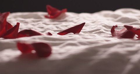 Rose petals falling on white bed at 120 fps, medium shot. Camera tracks along surface of bed.