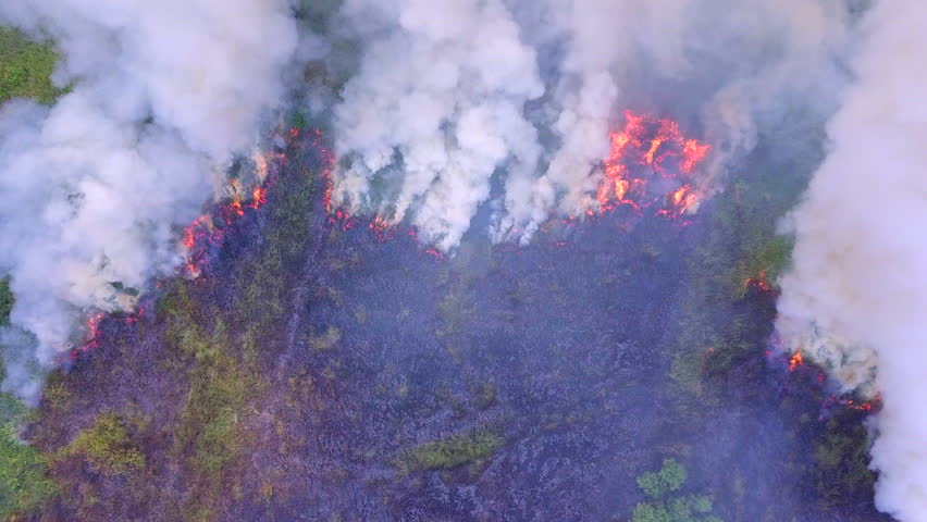 Aerial view smoke of wildfire  Royalty-Free Stock Footage #1022461654