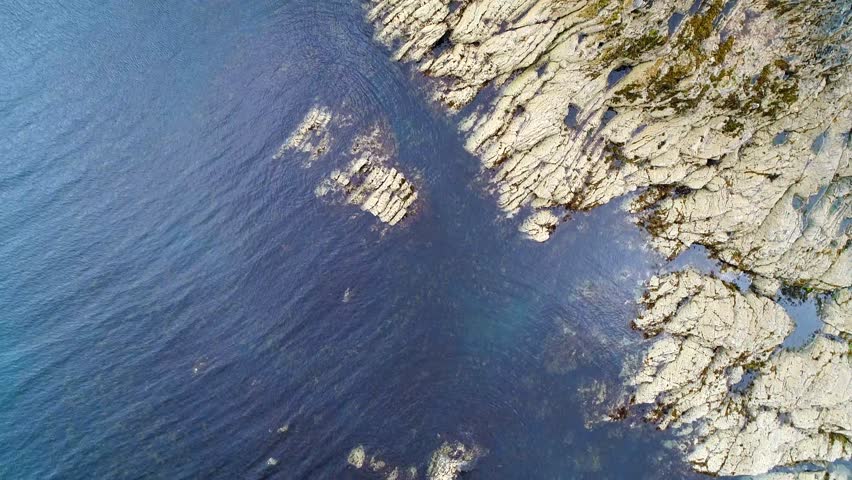 Ocean coastline drone (downwards facing)