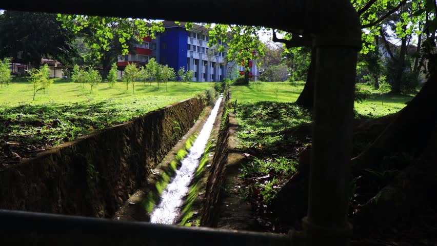 Beautiful nature scenery of park.