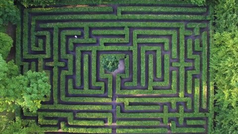 Top view of labyrinth garden. Unique, mysterious place. Aerial view of geometrical, green maze.