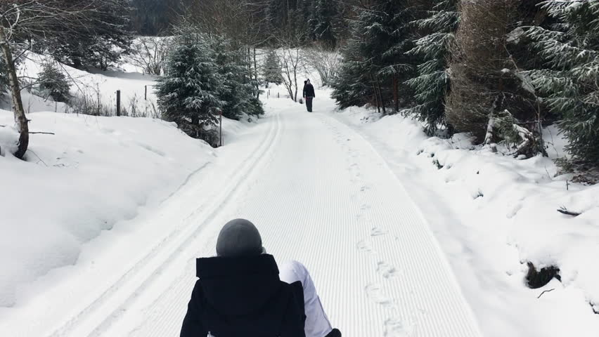 Sleigh ride down a snowy nature trail. Vanishing point.