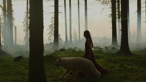 Woman walking in the misty forest with a dog, in the evening light.