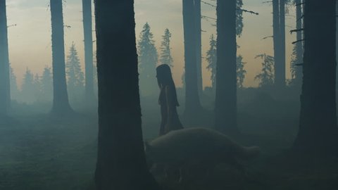 Evening view of a girl walking in the misty forest with a dog.