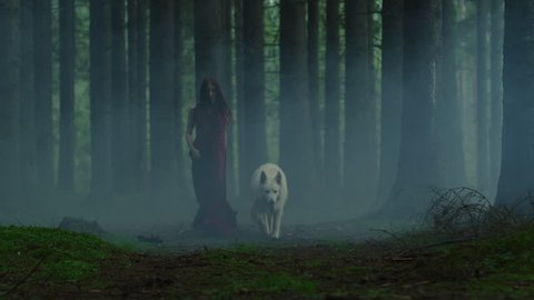 Woman and dog in a misty forest.