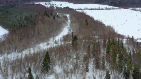 Drone shot of three cars driving on a snowy road in a young forest