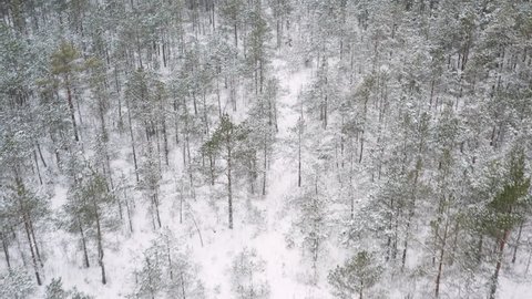 Close aerial looking down over snowy winter forest treetops