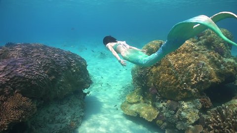 The swimming mermaid