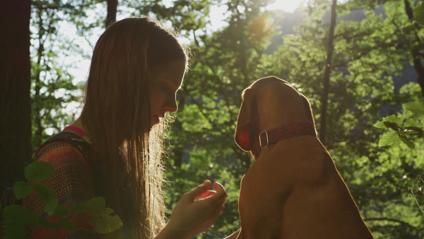 The friendship between a girl and her dog. | Shutterstock HD Video #1022538604