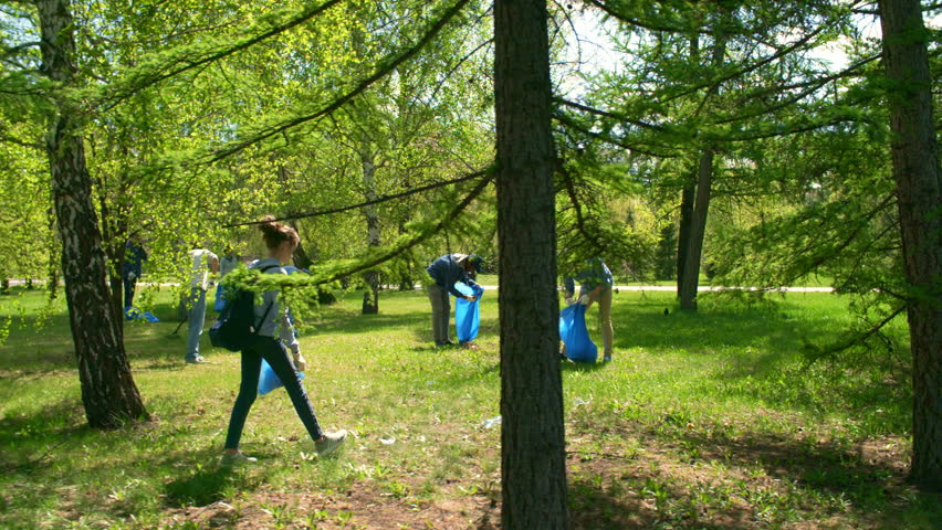 Tracking right of volunteering team picking up trash in park and putting it into bin bags Royalty-Free Stock Footage #1022539363
