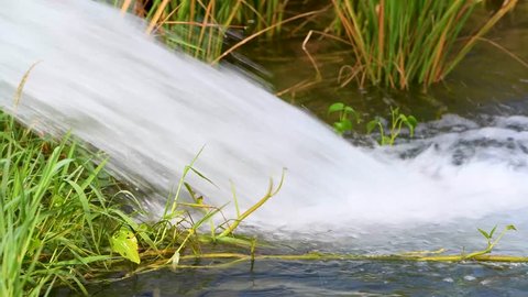 watering fields through motor water flow splash green agriculture