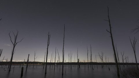 Comet Star Trails rotating above Manasquan Reservoir in New Jersey 
