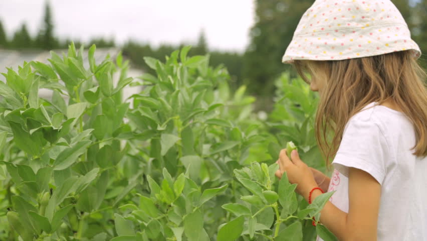 Little girl eating beans in garden