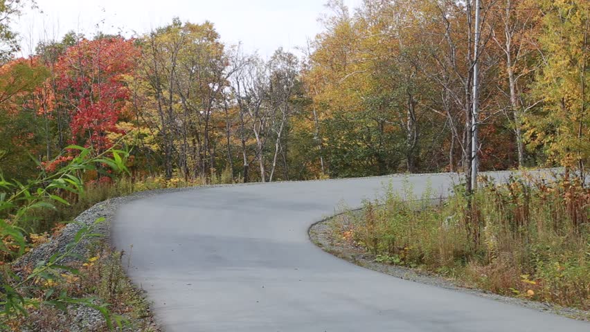 Autumn road in the park
