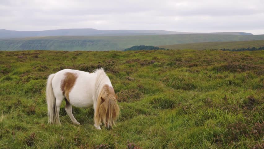 Slow pan of beautiful view over Hay Bluff with a pony
