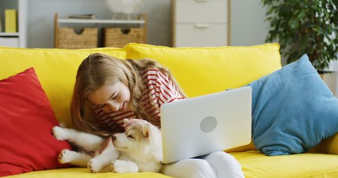 Close up of the cute teen caucasian girl petting her little husky puppy dog and playing with it, but it running away. On the yellow couch at home. Inside.Quarantine Concept Coronavirus Self-isolation 