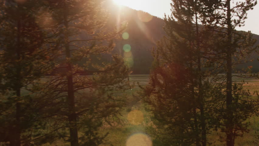 Yellowstone National Park circa-2018. Driving by beautiful scenery.