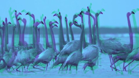 abstract interpretation of pink flamingos in the salt lagoons, ria largartos, mexico