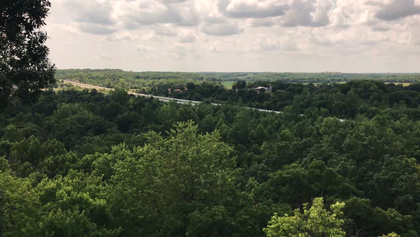 Tree tops in Sedalia Missouri