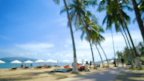 Blur view beach, palm, chairs, umbrellas. Royalty high-quality stock video footage beautiful tropical sandy beach, summer nature beach, blue sky, coconut palm trees. Blur, blurry, defocus background