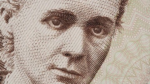 Madam Marie Curie on Poland banknote slow rotating. Famous scientist and inventor in chemistry and physics. Stock video footage
