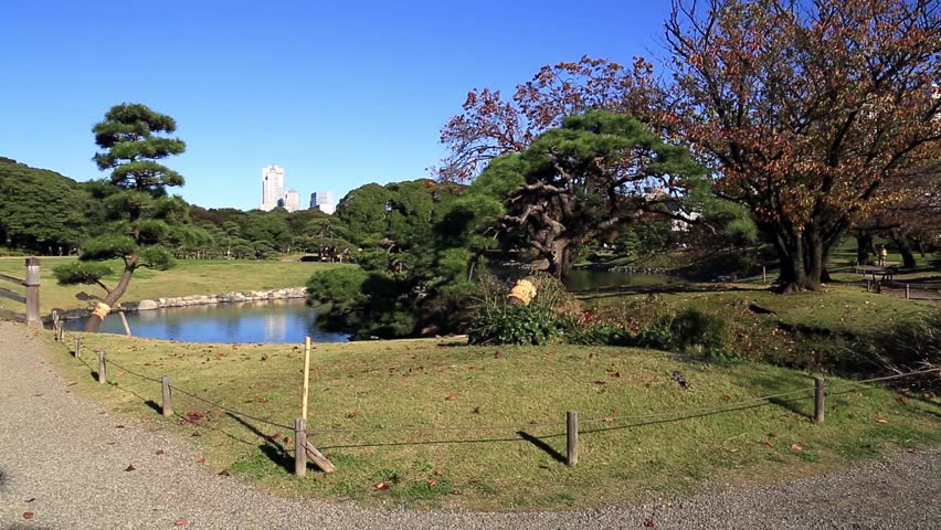 The Japanese Garden with cherry blossom inside Shinjuku Gyoen in Shinjuku District, Tokyo town, Japan. Scenic landscape in spring time.