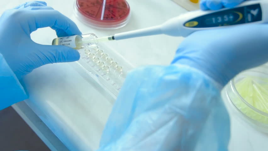 A scientist in a medical laboratory with a dispenser in his hands is doing an analysis Royalty-Free Stock Footage #1022667607