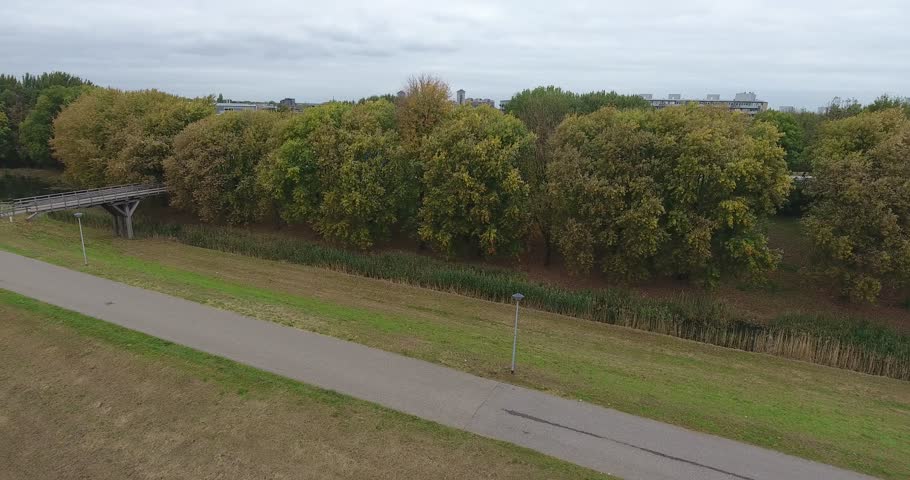 Nature landscape autumn trees aerial view